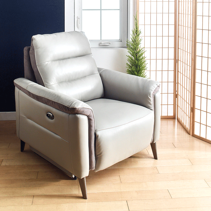  RS-B5067-1S1U  Leather Recliner Chair